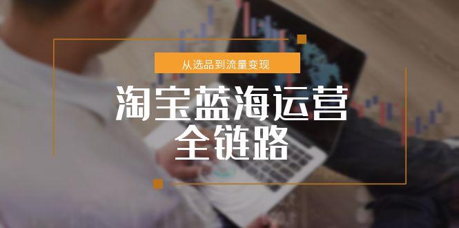 淘宝蓝海运营全链路，从选品到流量变现，小类目突围完整方案-猴哥VIP资源站