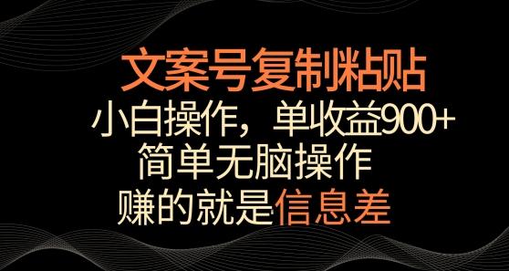 文案号掘金，简单复制粘贴，小白操作，单作品收益900+【揭秘】-猴哥VIP资源站