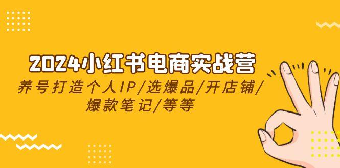 2024小红书电商实战营，养号打造IP/选爆品/开店铺/爆款笔记/等等(24节)-猴哥VIP资源站