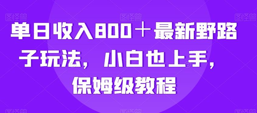 单日收入800＋最新野路子玩法，小白也上手，保姆级教程-猴哥VIP资源站