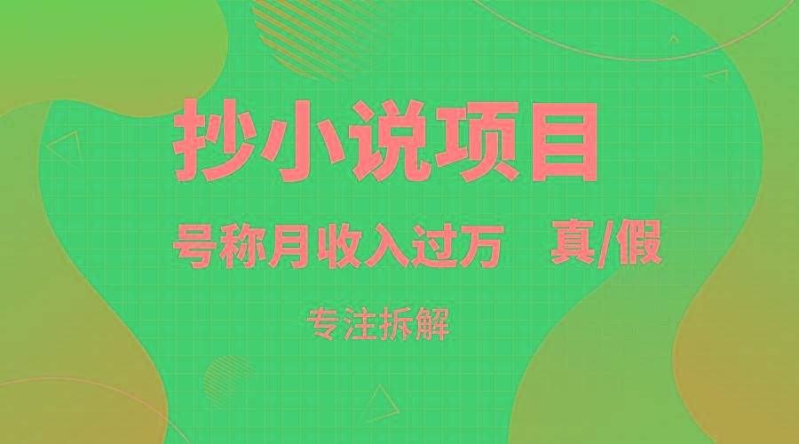 抄小说项目，号称月入过万，到底是否真实，能不能做，详细拆解-猴哥VIP资源站