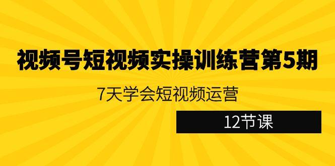 视频号短视频实操训练营第5期：7天学会短视频运营(12节课)-猴哥VIP资源站