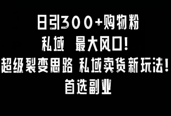日引300+购物粉，超级裂变思路，私域卖货新玩法，小红书首选副业【揭秘】-猴哥VIP资源站