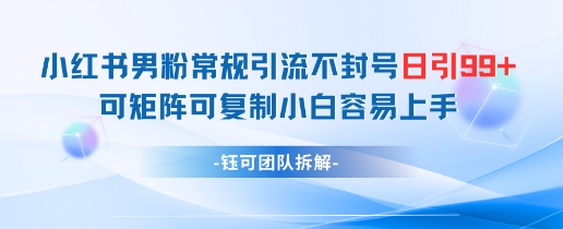 小红书男粉常规引流不封号日引99+变现简单 可矩阵可复制小白容易上手-猴哥VIP资源站