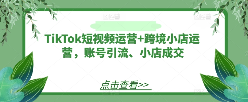 TikTok短视频运营+跨境小店运营，账号引流、小店成交-猴哥VIP资源站