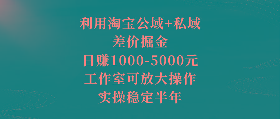 利用淘宝公域+私域差价掘金，日赚1000-5000元，工作室可放大操作，实操...-猴哥VIP资源站
