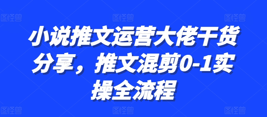 小说推文运营大佬干货分享，推文混剪0-1实操全流程-猴哥VIP资源站