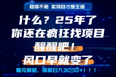 什么?25年你还在疯狂找项目做,醒醒吧,看完这些你全都懂了!【揭秘】-猴哥VIP资源站