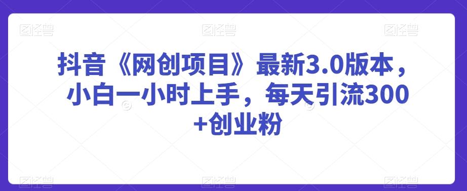 抖音《网创项目》最新3.0版本，小白一小时上手，每天引流300+创业粉【揭秘】-猴哥VIP资源站