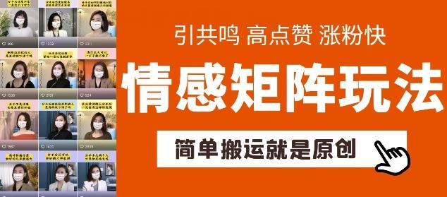 简单搬运，情感矩阵玩法，涨粉速度快，可带货，可起号【揭秘】-猴哥VIP资源站