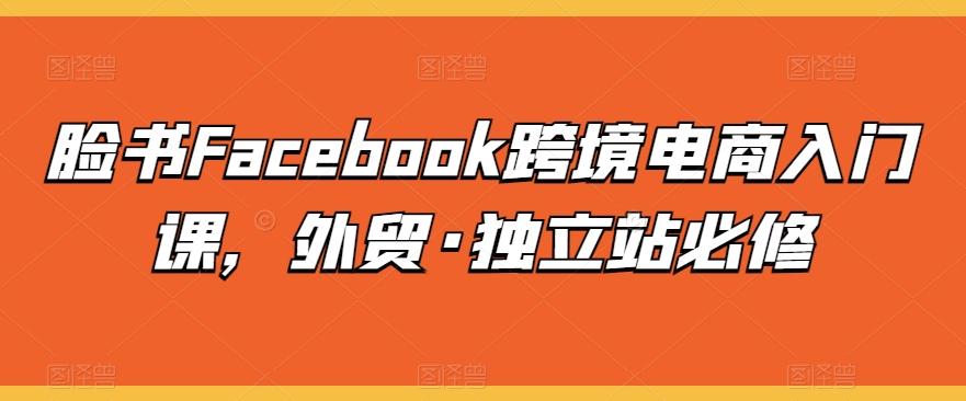 脸书Facebook跨境电商入门课，外贸·独立站必修-猴哥VIP资源站