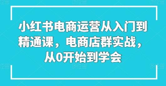 小红书电商运营从入门到精通课,电商店群实战,从0开始到学会-猴哥VIP资源站