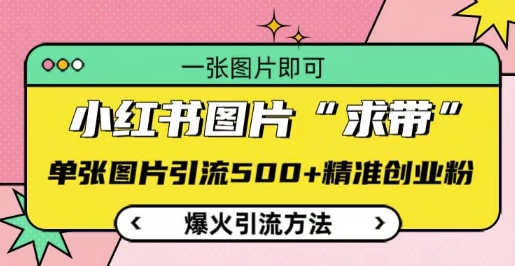 小红书图片‘求带’爆火引流法，单张图片引流500+精准创业粉【揭秘】-猴哥VIP资源站
