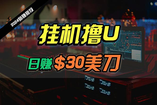 (10013期)日赚30美刀,2024最新海外挂机撸U内部项目,全程无人值守,可批量放大-猴哥VIP资源站