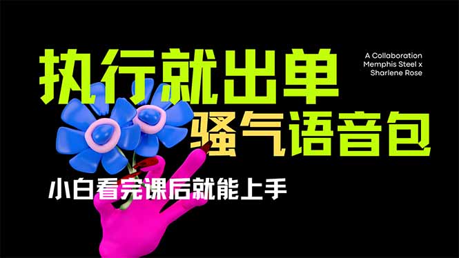 爆火全网的开车导航骚气语音包,只要执行就出单，小白看完课程就能实操…-猴哥VIP资源站