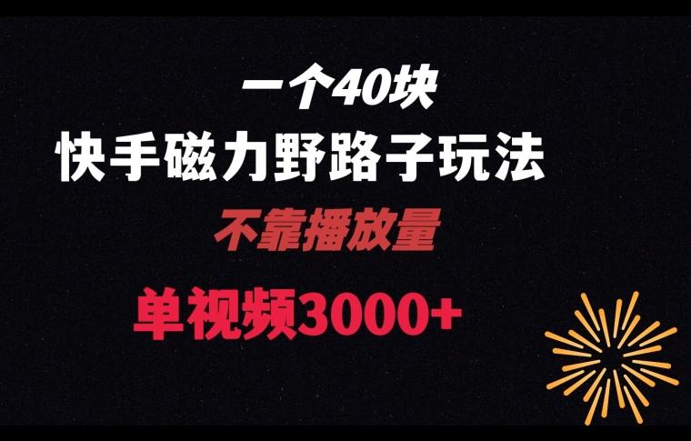 一个40块,快手联合美团磁力新玩法,无视机制野路子玩法,单视频收益4位数【揭秘】-猴哥VIP资源站