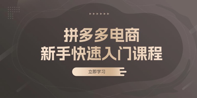 拼多多电商新手快速入门课程：涵盖基础、实战与选款，助力小白轻松上手-猴哥VIP资源站