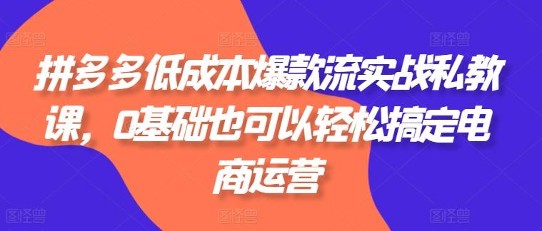拼多多低成本爆款流实战私教课，0基础也可以轻松搞定电商运营-猴哥VIP资源站