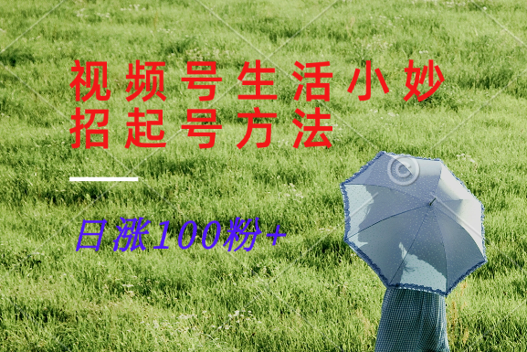 视频号生活小妙招分享赛道， 起号涨粉新方法，日涨100粉-猴哥VIP资源站