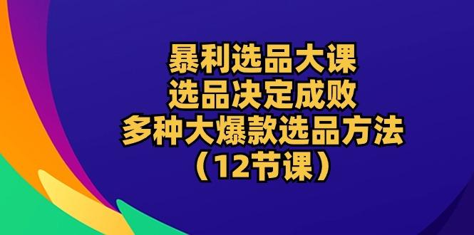 暴利 选品大课:选品决定成败,教你多种大爆款选品方法(12节课-猴哥VIP资源站