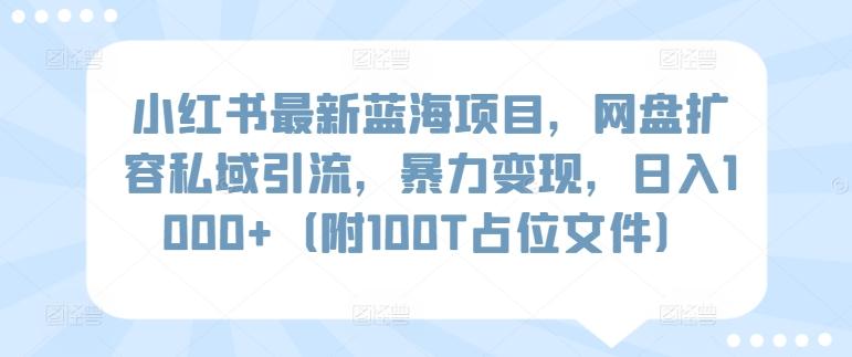 小红书最新蓝海项目，网盘扩容私域引流，暴力变现，日入1000+(附100T占位文件)【揭秘】-猴哥VIP资源站